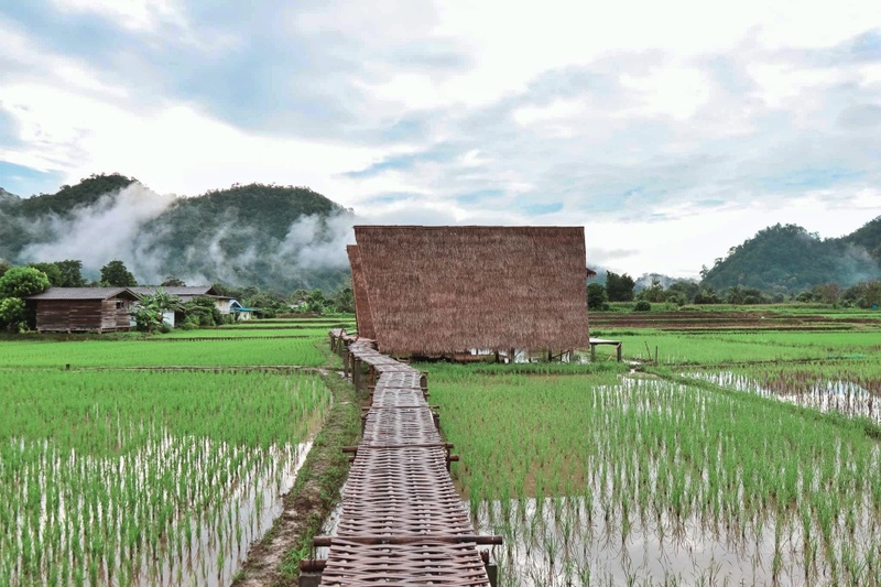 ที่พักแม่แตง, ที่พักแม่แตง 2024, ที่พักแม่แตง 2567, ที่พักแม่แตง ติดลําธาร, ที่พักแม่แตง มีอ่าง, ที่พักแม่แตง ริมน้ำ, ที่พักแม่แตง ริมน้ำ 2024, ที่พักแม่แตง ริมน้ำ 2567, ที่พักแม่แตง เชียงใหม่, แม่แตง, top 10+ ที่พักแม่แตง เชียงใหม่ [กรกฎาคม 2024] นอนฟิน บรรยากาศชิล ใกล้ชิดธรรมชาติ