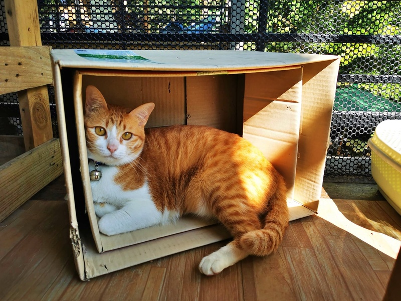 ที่พักแม่แตง, ที่พักแม่แตง 2024, ที่พักแม่แตง 2567, ที่พักแม่แตง ติดลําธาร, ที่พักแม่แตง มีอ่าง, ที่พักแม่แตง ริมน้ำ, ที่พักแม่แตง ริมน้ำ 2024, ที่พักแม่แตง ริมน้ำ 2567, ที่พักแม่แตง เชียงใหม่, แม่แตง, top 10+ ที่พักแม่แตง เชียงใหม่ [กรกฎาคม 2024] นอนฟิน บรรยากาศชิล ใกล้ชิดธรรมชาติ