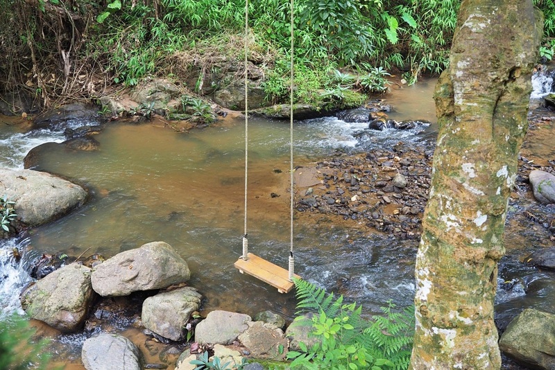 ที่พักแม่แตง, ที่พักแม่แตง 2024, ที่พักแม่แตง 2567, ที่พักแม่แตง ติดลําธาร, ที่พักแม่แตง มีอ่าง, ที่พักแม่แตง ริมน้ำ, ที่พักแม่แตง ริมน้ำ 2024, ที่พักแม่แตง ริมน้ำ 2567, ที่พักแม่แตง เชียงใหม่, แม่แตง, top 10+ ที่พักแม่แตง เชียงใหม่ [กรกฎาคม 2024] นอนฟิน บรรยากาศชิล ใกล้ชิดธรรมชาติ