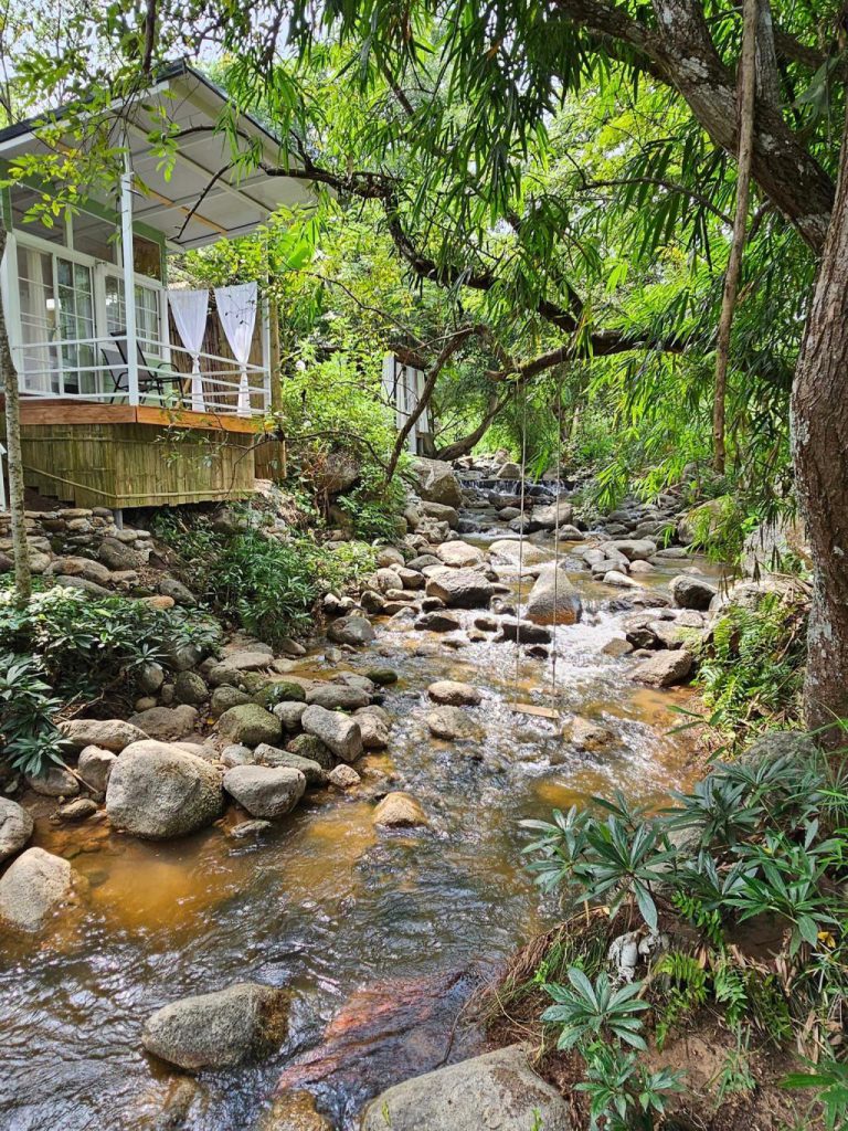 ที่พักแม่แตง, ที่พักแม่แตง 2024, ที่พักแม่แตง 2567, ที่พักแม่แตง ติดลําธาร, ที่พักแม่แตง มีอ่าง, ที่พักแม่แตง ริมน้ำ, ที่พักแม่แตง ริมน้ำ 2024, ที่พักแม่แตง ริมน้ำ 2567, ที่พักแม่แตง เชียงใหม่, แม่แตง, top 10+ ที่พักแม่แตง เชียงใหม่ [กรกฎาคม 2024] นอนฟิน บรรยากาศชิล ใกล้ชิดธรรมชาติ