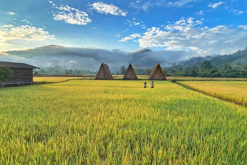 ที่พักแม่แตง, ที่พักแม่แตง 2024, ที่พักแม่แตง 2567, ที่พักแม่แตง ติดลําธาร, ที่พักแม่แตง มีอ่าง, ที่พักแม่แตง ริมน้ำ, ที่พักแม่แตง ริมน้ำ 2024, ที่พักแม่แตง ริมน้ำ 2567, ที่พักแม่แตง เชียงใหม่, แม่แตง, top 10+ ที่พักแม่แตง เชียงใหม่ [กรกฎาคม 2024] นอนฟิน บรรยากาศชิล ใกล้ชิดธรรมชาติ