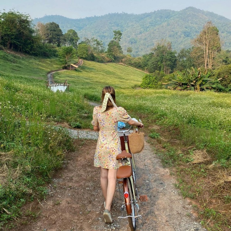 ที่พักแม่แตง, ที่พักแม่แตง 2024, ที่พักแม่แตง 2567, ที่พักแม่แตง ติดลําธาร, ที่พักแม่แตง มีอ่าง, ที่พักแม่แตง ริมน้ำ, ที่พักแม่แตง ริมน้ำ 2024, ที่พักแม่แตง ริมน้ำ 2567, ที่พักแม่แตง เชียงใหม่, แม่แตง, top 10+ ที่พักแม่แตง เชียงใหม่ [กรกฎาคม 2024] นอนฟิน บรรยากาศชิล ใกล้ชิดธรรมชาติ