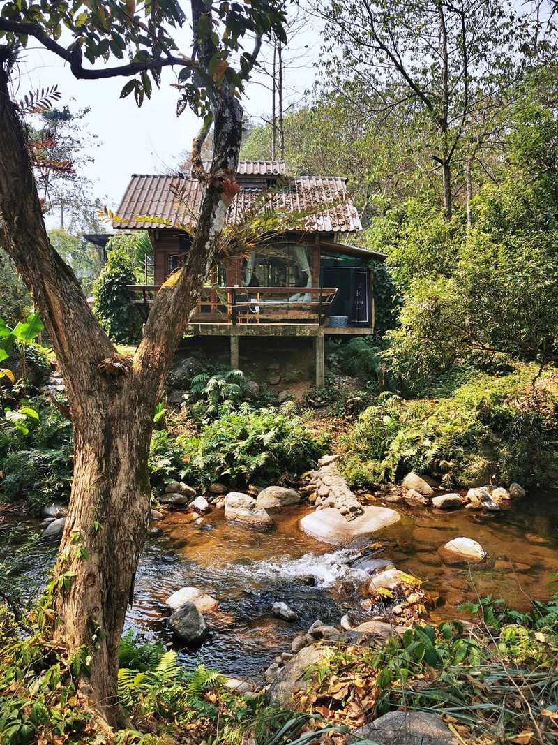 ที่พักแม่แตง, ที่พักแม่แตง 2024, ที่พักแม่แตง 2567, ที่พักแม่แตง ติดลําธาร, ที่พักแม่แตง มีอ่าง, ที่พักแม่แตง ริมน้ำ, ที่พักแม่แตง ริมน้ำ 2024, ที่พักแม่แตง ริมน้ำ 2567, ที่พักแม่แตง เชียงใหม่, แม่แตง, top 10+ ที่พักแม่แตง เชียงใหม่ [กรกฎาคม 2024] นอนฟิน บรรยากาศชิล ใกล้ชิดธรรมชาติ