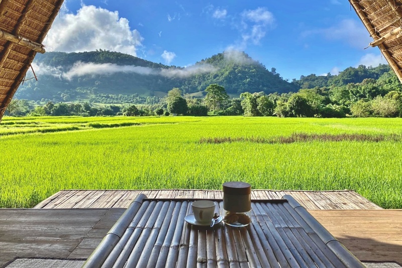 ที่พักแม่แตง, ที่พักแม่แตง 2024, ที่พักแม่แตง 2567, ที่พักแม่แตง ติดลําธาร, ที่พักแม่แตง มีอ่าง, ที่พักแม่แตง ริมน้ำ, ที่พักแม่แตง ริมน้ำ 2024, ที่พักแม่แตง ริมน้ำ 2567, ที่พักแม่แตง เชียงใหม่, แม่แตง, top 10+ ที่พักแม่แตง เชียงใหม่ [กรกฎาคม 2024] นอนฟิน บรรยากาศชิล ใกล้ชิดธรรมชาติ