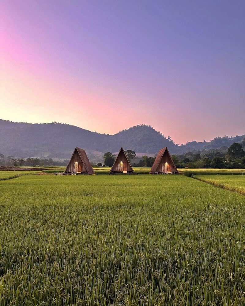 ที่พักแม่แตง, ที่พักแม่แตง 2024, ที่พักแม่แตง 2567, ที่พักแม่แตง ติดลําธาร, ที่พักแม่แตง มีอ่าง, ที่พักแม่แตง ริมน้ำ, ที่พักแม่แตง ริมน้ำ 2024, ที่พักแม่แตง ริมน้ำ 2567, ที่พักแม่แตง เชียงใหม่, แม่แตง, top 10+ ที่พักแม่แตง เชียงใหม่ [กรกฎาคม 2024] นอนฟิน บรรยากาศชิล ใกล้ชิดธรรมชาติ