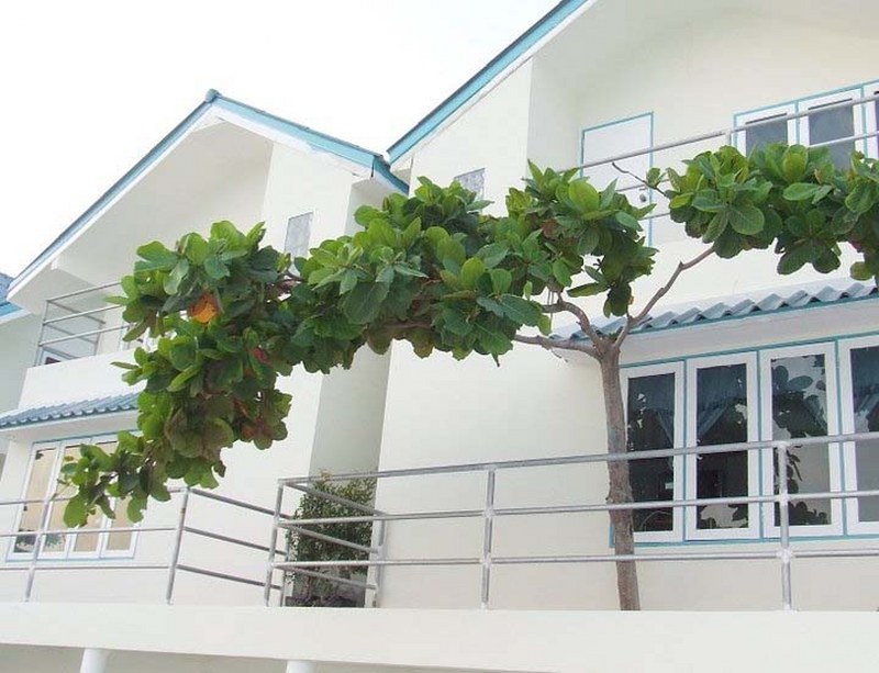 top 20+ ที่พักเกาะเสม็ด 2567 ที่พักหาดทรายแก้ว นอนชิลชมวิวทะเล