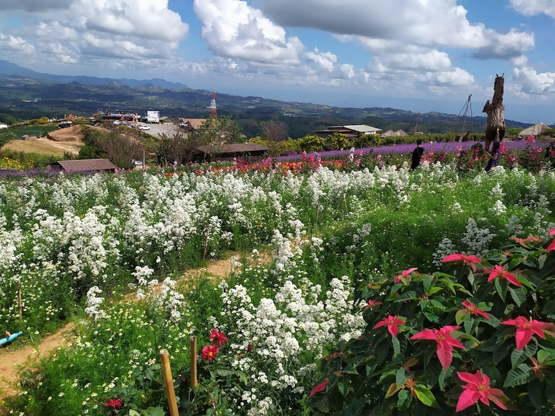 b.n. farm, จุดชมวิววัดกองเนียม, ตะเคียนโง๊ะ, ถนนคนเดินไทหล่ม, ที่ทำการไปรษณีย์เขาค้อ, ที่เที่ยวเพชรบูรณ์, ที่เที่ยวเพชรบูรณ์ 2023, ที่เที่ยวเพชรบูรณ์ 2566, ทุ่งกังหันลมเขาค้อ, น้ำตกศรีดิษฐ์, พระบรมธาตุเจดีย์กาญจนาภิเษก, พระพุทธมหาธรรมราชาเฉลิมพระเกียรติ, พิพิธภัณฑ์อาวุธเขาค้อ, ภูทับเบิก, ภูหินร่องกล้า, ภูแผงม้า, วัดกองเนียม, วัดธรรมยาน, วัดพระธาตุผาซ่อนแก้ว, สกายวอล์คภูเลิศ, สะพานพ่อขุนผาเมือง, สะพานห้วยตอง, อุทยานแห่งชาติตาดหมอก, อุทยานแห่งชาติทุ่งแสลงหลวง, อุทยานแห่งชาติน้ำหนาว, เขาค้อ, เขาค้อ 2023, เขาตะเคียนโง๊ะ, เที่ยวเพชรบูรณ์, เพชรบูรณ์, แก่งบางระจัน, ไร่ gb เขาค้อ, ไร่ บี.เอ็น. ฟาร์ม, ไร่จีบี เขาค้อ, top 20+ ที่เที่ยวเพชรบูรณ์ [กรกฎาคม 2024] สัมผัสทะเลหมอกสุดฟิน เที่ยวชมดินแดนแห่งธรรมชาติ