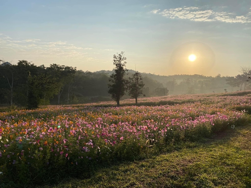 b.n. farm, จุดชมวิววัดกองเนียม, ตะเคียนโง๊ะ, ถนนคนเดินไทหล่ม, ที่ทำการไปรษณีย์เขาค้อ, ที่เที่ยวเพชรบูรณ์, ที่เที่ยวเพชรบูรณ์ 2023, ที่เที่ยวเพชรบูรณ์ 2566, ทุ่งกังหันลมเขาค้อ, น้ำตกศรีดิษฐ์, พระบรมธาตุเจดีย์กาญจนาภิเษก, พระพุทธมหาธรรมราชาเฉลิมพระเกียรติ, พิพิธภัณฑ์อาวุธเขาค้อ, ภูทับเบิก, ภูหินร่องกล้า, ภูแผงม้า, วัดกองเนียม, วัดธรรมยาน, วัดพระธาตุผาซ่อนแก้ว, สกายวอล์คภูเลิศ, สะพานพ่อขุนผาเมือง, สะพานห้วยตอง, อุทยานแห่งชาติตาดหมอก, อุทยานแห่งชาติทุ่งแสลงหลวง, อุทยานแห่งชาติน้ำหนาว, เขาค้อ, เขาค้อ 2023, เขาตะเคียนโง๊ะ, เที่ยวเพชรบูรณ์, เพชรบูรณ์, แก่งบางระจัน, ไร่ gb เขาค้อ, ไร่ บี.เอ็น. ฟาร์ม, ไร่จีบี เขาค้อ, top 20+ ที่เที่ยวเพชรบูรณ์ [กรกฎาคม 2024] สัมผัสทะเลหมอกสุดฟิน เที่ยวชมดินแดนแห่งธรรมชาติ