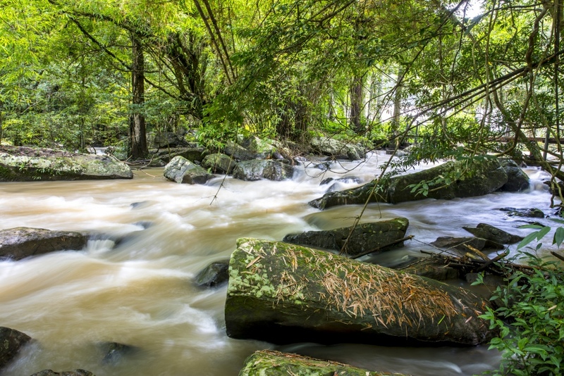 b.n. farm, จุดชมวิววัดกองเนียม, ตะเคียนโง๊ะ, ถนนคนเดินไทหล่ม, ที่ทำการไปรษณีย์เขาค้อ, ที่เที่ยวเพชรบูรณ์, ที่เที่ยวเพชรบูรณ์ 2023, ที่เที่ยวเพชรบูรณ์ 2566, ทุ่งกังหันลมเขาค้อ, น้ำตกศรีดิษฐ์, พระบรมธาตุเจดีย์กาญจนาภิเษก, พระพุทธมหาธรรมราชาเฉลิมพระเกียรติ, พิพิธภัณฑ์อาวุธเขาค้อ, ภูทับเบิก, ภูหินร่องกล้า, ภูแผงม้า, วัดกองเนียม, วัดธรรมยาน, วัดพระธาตุผาซ่อนแก้ว, สกายวอล์คภูเลิศ, สะพานพ่อขุนผาเมือง, สะพานห้วยตอง, อุทยานแห่งชาติตาดหมอก, อุทยานแห่งชาติทุ่งแสลงหลวง, อุทยานแห่งชาติน้ำหนาว, เขาค้อ, เขาค้อ 2023, เขาตะเคียนโง๊ะ, เที่ยวเพชรบูรณ์, เพชรบูรณ์, แก่งบางระจัน, ไร่ gb เขาค้อ, ไร่ บี.เอ็น. ฟาร์ม, ไร่จีบี เขาค้อ, top 20+ ที่เที่ยวเพชรบูรณ์ [กรกฎาคม 2024] สัมผัสทะเลหมอกสุดฟิน เที่ยวชมดินแดนแห่งธรรมชาติ