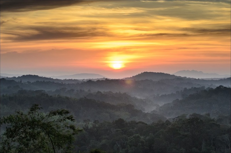 b.n. farm, จุดชมวิววัดกองเนียม, ตะเคียนโง๊ะ, ถนนคนเดินไทหล่ม, ที่ทำการไปรษณีย์เขาค้อ, ที่เที่ยวเพชรบูรณ์, ที่เที่ยวเพชรบูรณ์ 2023, ที่เที่ยวเพชรบูรณ์ 2566, ทุ่งกังหันลมเขาค้อ, น้ำตกศรีดิษฐ์, พระบรมธาตุเจดีย์กาญจนาภิเษก, พระพุทธมหาธรรมราชาเฉลิมพระเกียรติ, พิพิธภัณฑ์อาวุธเขาค้อ, ภูทับเบิก, ภูหินร่องกล้า, ภูแผงม้า, วัดกองเนียม, วัดธรรมยาน, วัดพระธาตุผาซ่อนแก้ว, สกายวอล์คภูเลิศ, สะพานพ่อขุนผาเมือง, สะพานห้วยตอง, อุทยานแห่งชาติตาดหมอก, อุทยานแห่งชาติทุ่งแสลงหลวง, อุทยานแห่งชาติน้ำหนาว, เขาค้อ, เขาค้อ 2023, เขาตะเคียนโง๊ะ, เที่ยวเพชรบูรณ์, เพชรบูรณ์, แก่งบางระจัน, ไร่ gb เขาค้อ, ไร่ บี.เอ็น. ฟาร์ม, ไร่จีบี เขาค้อ, top 20+ ที่เที่ยวเพชรบูรณ์ [กรกฎาคม 2024] สัมผัสทะเลหมอกสุดฟิน เที่ยวชมดินแดนแห่งธรรมชาติ