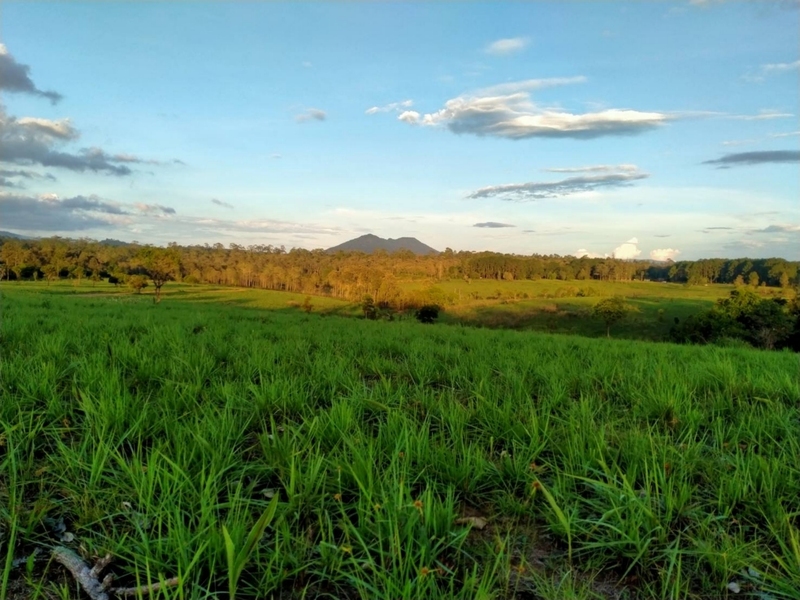 b.n. farm, จุดชมวิววัดกองเนียม, ตะเคียนโง๊ะ, ถนนคนเดินไทหล่ม, ที่ทำการไปรษณีย์เขาค้อ, ที่เที่ยวเพชรบูรณ์, ที่เที่ยวเพชรบูรณ์ 2023, ที่เที่ยวเพชรบูรณ์ 2566, ทุ่งกังหันลมเขาค้อ, น้ำตกศรีดิษฐ์, พระบรมธาตุเจดีย์กาญจนาภิเษก, พระพุทธมหาธรรมราชาเฉลิมพระเกียรติ, พิพิธภัณฑ์อาวุธเขาค้อ, ภูทับเบิก, ภูหินร่องกล้า, ภูแผงม้า, วัดกองเนียม, วัดธรรมยาน, วัดพระธาตุผาซ่อนแก้ว, สกายวอล์คภูเลิศ, สะพานพ่อขุนผาเมือง, สะพานห้วยตอง, อุทยานแห่งชาติตาดหมอก, อุทยานแห่งชาติทุ่งแสลงหลวง, อุทยานแห่งชาติน้ำหนาว, เขาค้อ, เขาค้อ 2023, เขาตะเคียนโง๊ะ, เที่ยวเพชรบูรณ์, เพชรบูรณ์, แก่งบางระจัน, ไร่ gb เขาค้อ, ไร่ บี.เอ็น. ฟาร์ม, ไร่จีบี เขาค้อ, top 20+ ที่เที่ยวเพชรบูรณ์ [กรกฎาคม 2024] สัมผัสทะเลหมอกสุดฟิน เที่ยวชมดินแดนแห่งธรรมชาติ
