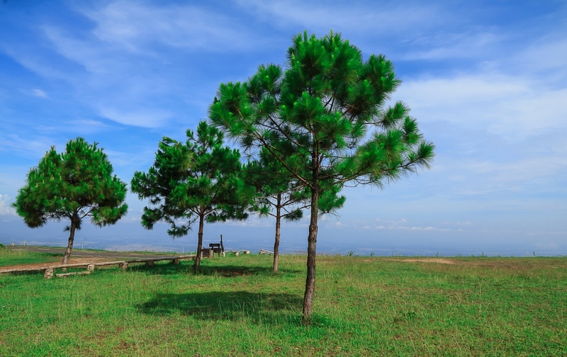 b.n. farm, จุดชมวิววัดกองเนียม, ตะเคียนโง๊ะ, ถนนคนเดินไทหล่ม, ที่ทำการไปรษณีย์เขาค้อ, ที่เที่ยวเพชรบูรณ์, ที่เที่ยวเพชรบูรณ์ 2023, ที่เที่ยวเพชรบูรณ์ 2566, ทุ่งกังหันลมเขาค้อ, น้ำตกศรีดิษฐ์, พระบรมธาตุเจดีย์กาญจนาภิเษก, พระพุทธมหาธรรมราชาเฉลิมพระเกียรติ, พิพิธภัณฑ์อาวุธเขาค้อ, ภูทับเบิก, ภูหินร่องกล้า, ภูแผงม้า, วัดกองเนียม, วัดธรรมยาน, วัดพระธาตุผาซ่อนแก้ว, สกายวอล์คภูเลิศ, สะพานพ่อขุนผาเมือง, สะพานห้วยตอง, อุทยานแห่งชาติตาดหมอก, อุทยานแห่งชาติทุ่งแสลงหลวง, อุทยานแห่งชาติน้ำหนาว, เขาค้อ, เขาค้อ 2023, เขาตะเคียนโง๊ะ, เที่ยวเพชรบูรณ์, เพชรบูรณ์, แก่งบางระจัน, ไร่ gb เขาค้อ, ไร่ บี.เอ็น. ฟาร์ม, ไร่จีบี เขาค้อ, top 20+ ที่เที่ยวเพชรบูรณ์ [กรกฎาคม 2024] สัมผัสทะเลหมอกสุดฟิน เที่ยวชมดินแดนแห่งธรรมชาติ