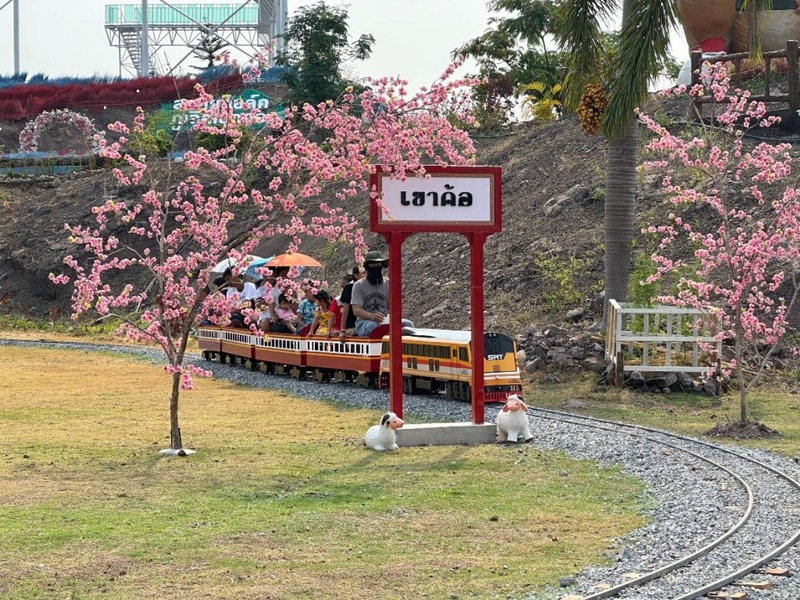 b.n. farm, จุดชมวิววัดกองเนียม, ตะเคียนโง๊ะ, ถนนคนเดินไทหล่ม, ที่ทำการไปรษณีย์เขาค้อ, ที่เที่ยวเพชรบูรณ์, ที่เที่ยวเพชรบูรณ์ 2023, ที่เที่ยวเพชรบูรณ์ 2566, ทุ่งกังหันลมเขาค้อ, น้ำตกศรีดิษฐ์, พระบรมธาตุเจดีย์กาญจนาภิเษก, พระพุทธมหาธรรมราชาเฉลิมพระเกียรติ, พิพิธภัณฑ์อาวุธเขาค้อ, ภูทับเบิก, ภูหินร่องกล้า, ภูแผงม้า, วัดกองเนียม, วัดธรรมยาน, วัดพระธาตุผาซ่อนแก้ว, สกายวอล์คภูเลิศ, สะพานพ่อขุนผาเมือง, สะพานห้วยตอง, อุทยานแห่งชาติตาดหมอก, อุทยานแห่งชาติทุ่งแสลงหลวง, อุทยานแห่งชาติน้ำหนาว, เขาค้อ, เขาค้อ 2023, เขาตะเคียนโง๊ะ, เที่ยวเพชรบูรณ์, เพชรบูรณ์, แก่งบางระจัน, ไร่ gb เขาค้อ, ไร่ บี.เอ็น. ฟาร์ม, ไร่จีบี เขาค้อ, top 20+ ที่เที่ยวเพชรบูรณ์ [กรกฎาคม 2024] สัมผัสทะเลหมอกสุดฟิน เที่ยวชมดินแดนแห่งธรรมชาติ