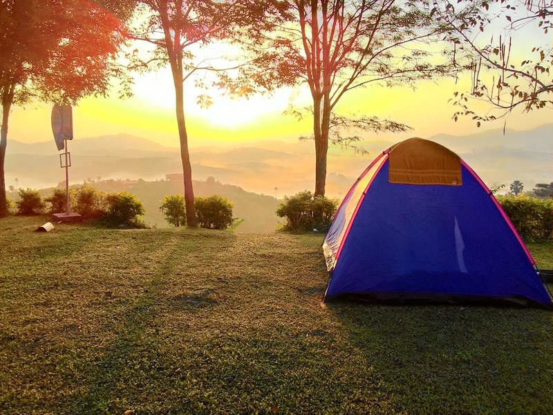 b.n. farm, จุดชมวิววัดกองเนียม, ตะเคียนโง๊ะ, ถนนคนเดินไทหล่ม, ที่ทำการไปรษณีย์เขาค้อ, ที่เที่ยวเพชรบูรณ์, ที่เที่ยวเพชรบูรณ์ 2023, ที่เที่ยวเพชรบูรณ์ 2566, ทุ่งกังหันลมเขาค้อ, น้ำตกศรีดิษฐ์, พระบรมธาตุเจดีย์กาญจนาภิเษก, พระพุทธมหาธรรมราชาเฉลิมพระเกียรติ, พิพิธภัณฑ์อาวุธเขาค้อ, ภูทับเบิก, ภูหินร่องกล้า, ภูแผงม้า, วัดกองเนียม, วัดธรรมยาน, วัดพระธาตุผาซ่อนแก้ว, สกายวอล์คภูเลิศ, สะพานพ่อขุนผาเมือง, สะพานห้วยตอง, อุทยานแห่งชาติตาดหมอก, อุทยานแห่งชาติทุ่งแสลงหลวง, อุทยานแห่งชาติน้ำหนาว, เขาค้อ, เขาค้อ 2023, เขาตะเคียนโง๊ะ, เที่ยวเพชรบูรณ์, เพชรบูรณ์, แก่งบางระจัน, ไร่ gb เขาค้อ, ไร่ บี.เอ็น. ฟาร์ม, ไร่จีบี เขาค้อ, top 20+ ที่เที่ยวเพชรบูรณ์ [กรกฎาคม 2024] สัมผัสทะเลหมอกสุดฟิน เที่ยวชมดินแดนแห่งธรรมชาติ