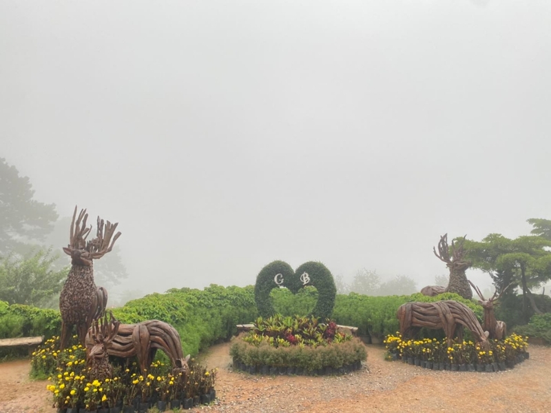b.n. farm, จุดชมวิววัดกองเนียม, ตะเคียนโง๊ะ, ถนนคนเดินไทหล่ม, ที่ทำการไปรษณีย์เขาค้อ, ที่เที่ยวเพชรบูรณ์, ที่เที่ยวเพชรบูรณ์ 2023, ที่เที่ยวเพชรบูรณ์ 2566, ทุ่งกังหันลมเขาค้อ, น้ำตกศรีดิษฐ์, พระบรมธาตุเจดีย์กาญจนาภิเษก, พระพุทธมหาธรรมราชาเฉลิมพระเกียรติ, พิพิธภัณฑ์อาวุธเขาค้อ, ภูทับเบิก, ภูหินร่องกล้า, ภูแผงม้า, วัดกองเนียม, วัดธรรมยาน, วัดพระธาตุผาซ่อนแก้ว, สกายวอล์คภูเลิศ, สะพานพ่อขุนผาเมือง, สะพานห้วยตอง, อุทยานแห่งชาติตาดหมอก, อุทยานแห่งชาติทุ่งแสลงหลวง, อุทยานแห่งชาติน้ำหนาว, เขาค้อ, เขาค้อ 2023, เขาตะเคียนโง๊ะ, เที่ยวเพชรบูรณ์, เพชรบูรณ์, แก่งบางระจัน, ไร่ gb เขาค้อ, ไร่ บี.เอ็น. ฟาร์ม, ไร่จีบี เขาค้อ, top 20+ ที่เที่ยวเพชรบูรณ์ [กรกฎาคม 2024] สัมผัสทะเลหมอกสุดฟิน เที่ยวชมดินแดนแห่งธรรมชาติ
