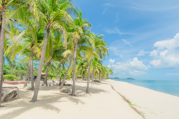 แสมสาร, top 10+ ทะเลใกล้กรุงเทพ 2567 ที่เที่ยวใกล้กรุงเทพ เช้าไปเย็นกลับ ทะเลสวยน้ำใส