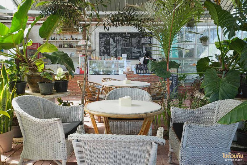 คาเฟ่ติดทะลชุมพร, คาเฟ่ชุมพร, ภูผาหน้าเล, คาเฟ่ปะทิว, คาเฟ่วิวทะเลชุมพร, ภูผาหน้าเล  คาเฟ่ริมทะเล ริมหน้าผา