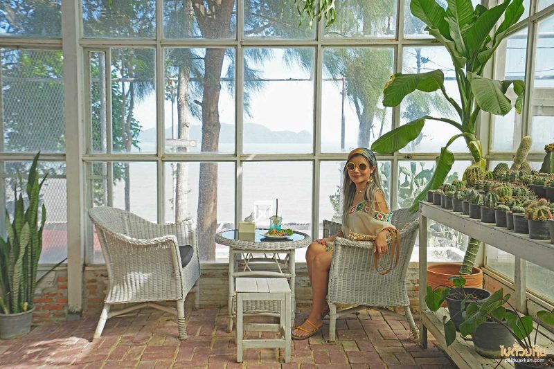 คาเฟ่ติดทะลชุมพร, คาเฟ่ชุมพร, ภูผาหน้าเล, คาเฟ่ปะทิว, คาเฟ่วิวทะเลชุมพร, ภูผาหน้าเล  คาเฟ่ริมทะเล ริมหน้าผา