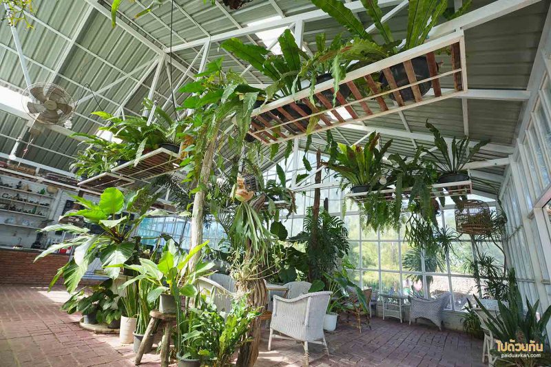 คาเฟ่ติดทะลชุมพร, คาเฟ่ชุมพร, ภูผาหน้าเล, คาเฟ่ปะทิว, คาเฟ่วิวทะเลชุมพร, ภูผาหน้าเล  คาเฟ่ริมทะเล ริมหน้าผา