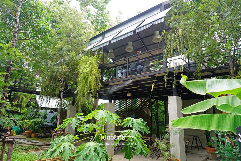 สถานที่ท่องเที่ยวปทุมธานี, คาเฟ่ปทุมธานี, ร้านกาแฟปทุมธานี, 1000 ไม้cafe & farm, บ้าน1000ไม้, บ้าน ๑,๐๐๐  ไม้ cafe & farm แหล่งเรียนรู้การเกษตรสำหรับเยาวชน