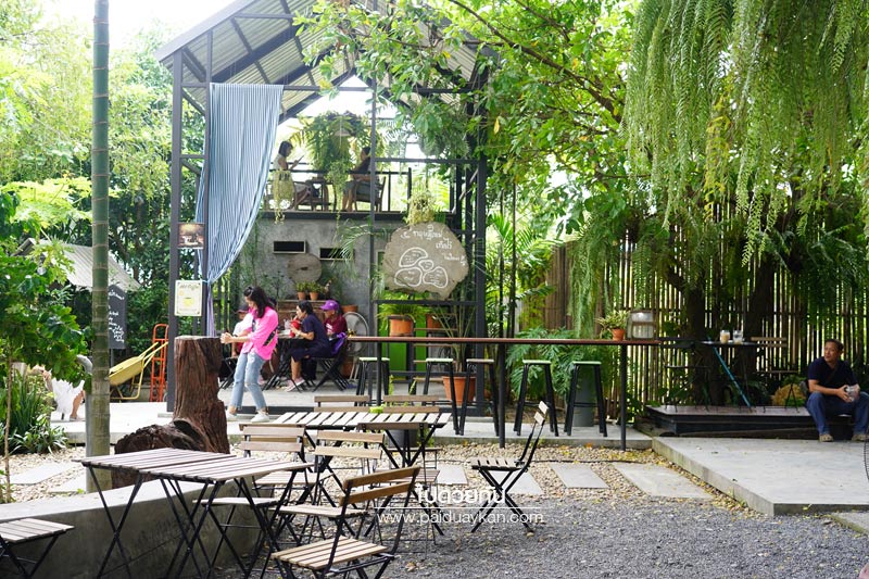 สถานที่ท่องเที่ยวปทุมธานี, คาเฟ่ปทุมธานี, ร้านกาแฟปทุมธานี, 1000 ไม้cafe & farm, บ้าน1000ไม้, บ้าน ๑,๐๐๐  ไม้ cafe & farm แหล่งเรียนรู้การเกษตรสำหรับเยาวชน