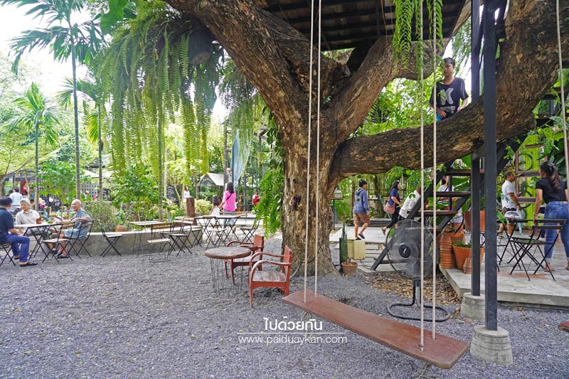 สถานที่ท่องเที่ยวปทุมธานี, คาเฟ่ปทุมธานี, ร้านกาแฟปทุมธานี, 1000 ไม้cafe & farm, บ้าน1000ไม้, บ้าน ๑,๐๐๐  ไม้ cafe & farm แหล่งเรียนรู้การเกษตรสำหรับเยาวชน