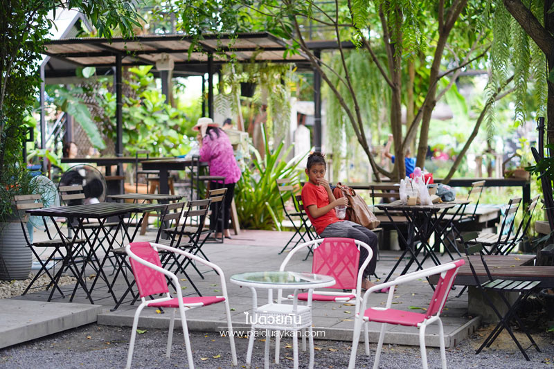 สถานที่ท่องเที่ยวปทุมธานี, คาเฟ่ปทุมธานี, ร้านกาแฟปทุมธานี, 1000 ไม้cafe & farm, บ้าน1000ไม้, บ้าน ๑,๐๐๐  ไม้ cafe & farm แหล่งเรียนรู้การเกษตรสำหรับเยาวชน