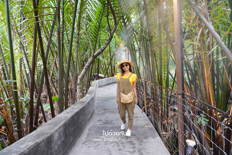 hiddenwoods บางกระเจ้า, ฮิดเดิลวูดส์ บางกระเจ้า, ร้านกาแฟบางกระเจ้า, คาเฟ่บางกระเจ้า, บางกระเจ้า, ฮิดเดิลวูดส์ บางกระเจ้า คาเฟ่ริมน้ำ กลางแมกไม้สีเขียว