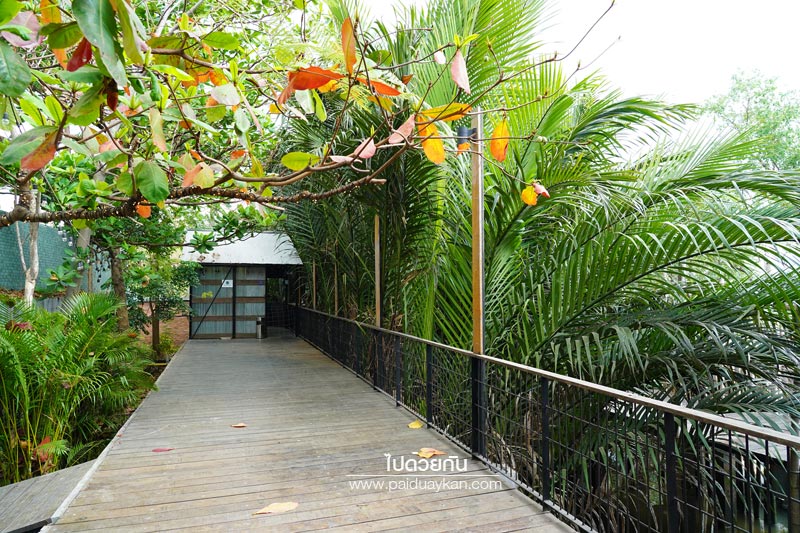 hiddenwoods บางกระเจ้า, ฮิดเดิลวูดส์ บางกระเจ้า, ร้านกาแฟบางกระเจ้า, คาเฟ่บางกระเจ้า, บางกระเจ้า, ฮิดเดิลวูดส์ บางกระเจ้า คาเฟ่ริมน้ำ กลางแมกไม้สีเขียว