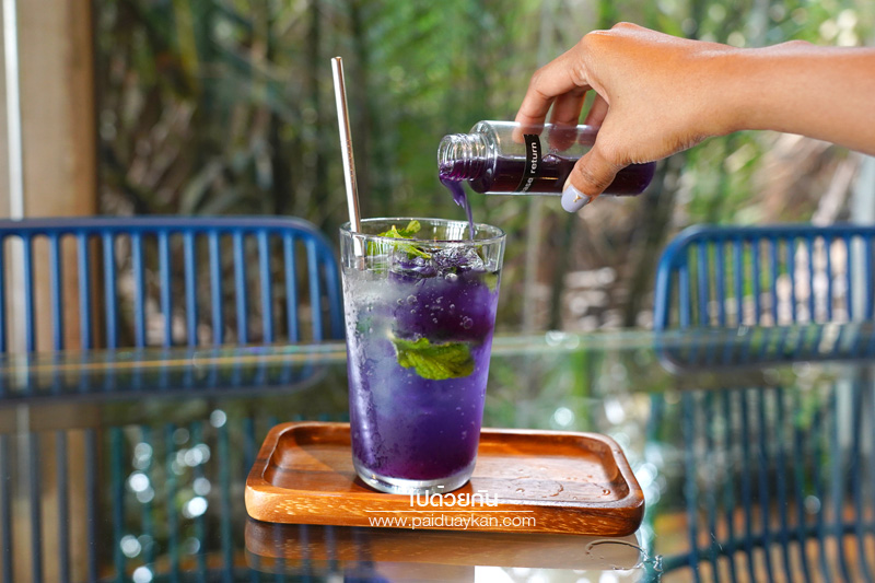 hiddenwoods บางกระเจ้า, ฮิดเดิลวูดส์ บางกระเจ้า, ร้านกาแฟบางกระเจ้า, คาเฟ่บางกระเจ้า, บางกระเจ้า, ฮิดเดิลวูดส์ บางกระเจ้า คาเฟ่ริมน้ำ กลางแมกไม้สีเขียว