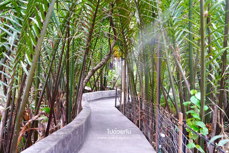 hiddenwoods บางกระเจ้า, ฮิดเดิลวูดส์ บางกระเจ้า, ร้านกาแฟบางกระเจ้า, คาเฟ่บางกระเจ้า, บางกระเจ้า, ฮิดเดิลวูดส์ บางกระเจ้า คาเฟ่ริมน้ำ กลางแมกไม้สีเขียว