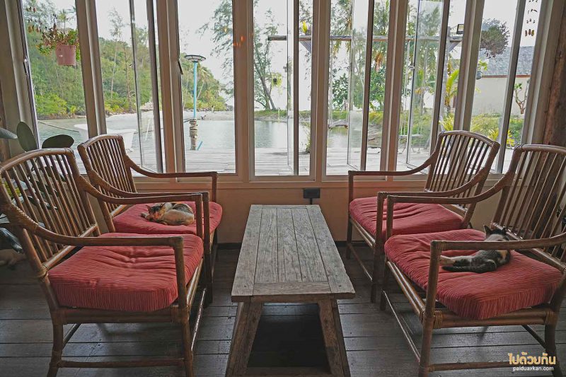 muei bar เกาะกูด, คาเฟ่เกาะกูด, ร้านกาแฟเกาะกูด, muei bar เกาะกูด คาเฟ่สุดโฮมมี่ ติดริมคลอง ใกล้ทะเล