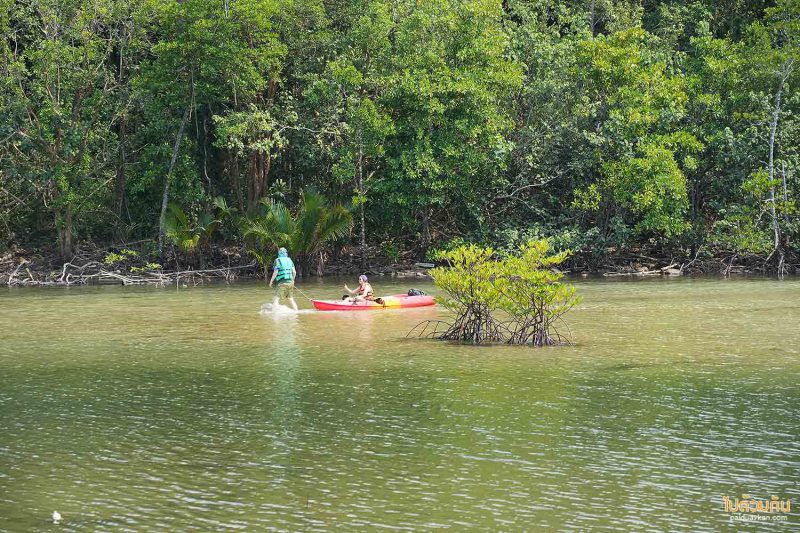 muei bar เกาะกูด, คาเฟ่เกาะกูด, ร้านกาแฟเกาะกูด, muei bar เกาะกูด คาเฟ่สุดโฮมมี่ ติดริมคลอง ใกล้ทะเล