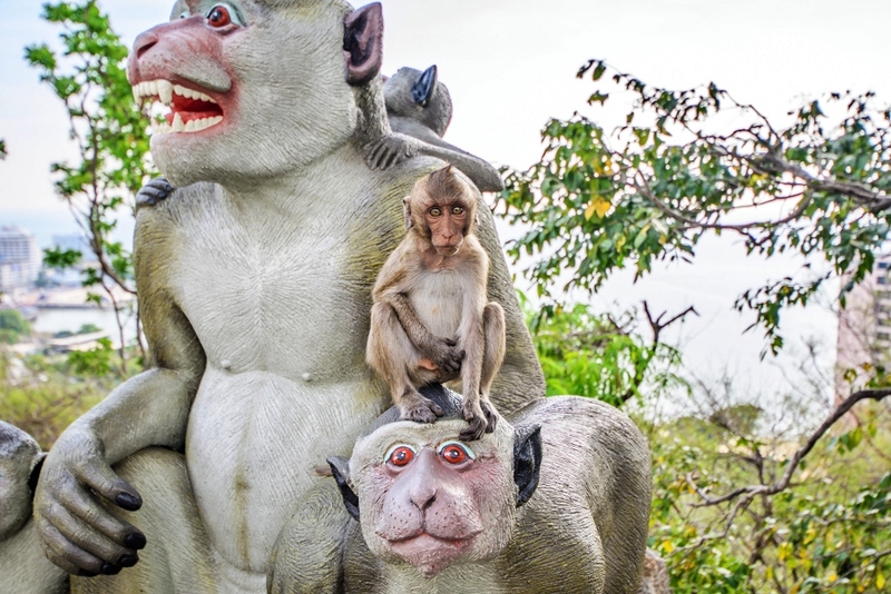 artory cafe & crafts, namon nomwan, open house cafe, red temp coffee, seafood club bangsean, จุดชมวิวเขาสามมุข, ซีฟู้ดคลับ บางแสน, ตลาดหนองมน, ถนนคนเดินบางแสน, ทะเลบางแสน, ที่เที่ยวบางแสน, ที่เที่ยวบางแสน 2023, ที่เที่ยวบางแสน 2024, ที่เที่ยวบางแสน 2566, บางแสน, บางแสน 2024, บางแสน 2567, สวนสัตว์เปิดเขาเขียว, หน้ามนหนมหวาน, หาดบางแสน, หาดวอนนภา, อ่างเก็บน้ำบางพระ, เขาสามมุข, เที่ยวบางแสน, เที่ยวบางแสน 2024, เที่ยวบางแสน 2567, top 21+ ที่เที่ยวบางแสน [กรกฎาคม 2024] ที่ต้องแวะเช็คอิน พักผ่อนสบาย ๆ ในช่วงวันหยุด