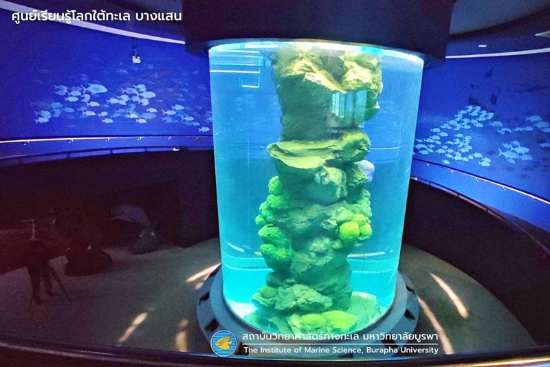 artory cafe & crafts, namon nomwan, open house cafe, red temp coffee, seafood club bangsean, จุดชมวิวเขาสามมุข, ซีฟู้ดคลับ บางแสน, ตลาดหนองมน, ถนนคนเดินบางแสน, ทะเลบางแสน, ที่เที่ยวบางแสน, ที่เที่ยวบางแสน 2023, ที่เที่ยวบางแสน 2024, ที่เที่ยวบางแสน 2566, บางแสน, บางแสน 2024, บางแสน 2567, สวนสัตว์เปิดเขาเขียว, หน้ามนหนมหวาน, หาดบางแสน, หาดวอนนภา, อ่างเก็บน้ำบางพระ, เขาสามมุข, เที่ยวบางแสน, เที่ยวบางแสน 2024, เที่ยวบางแสน 2567, top 21+ ที่เที่ยวบางแสน [กรกฎาคม 2024] ที่ต้องแวะเช็คอิน พักผ่อนสบาย ๆ ในช่วงวันหยุด