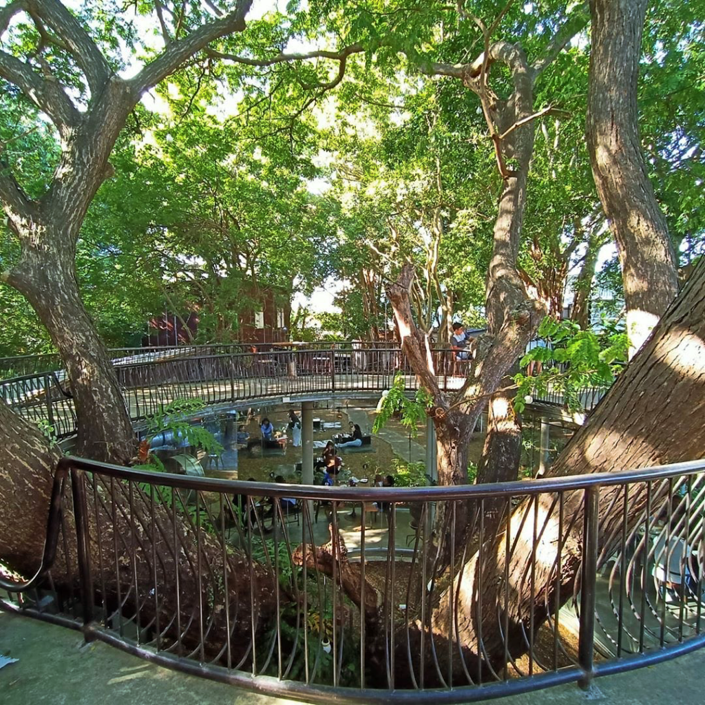 artory cafe & crafts, namon nomwan, open house cafe, red temp coffee, seafood club bangsean, จุดชมวิวเขาสามมุข, ซีฟู้ดคลับ บางแสน, ตลาดหนองมน, ถนนคนเดินบางแสน, ทะเลบางแสน, ที่เที่ยวบางแสน, ที่เที่ยวบางแสน 2023, ที่เที่ยวบางแสน 2024, ที่เที่ยวบางแสน 2566, บางแสน, บางแสน 2024, บางแสน 2567, สวนสัตว์เปิดเขาเขียว, หน้ามนหนมหวาน, หาดบางแสน, หาดวอนนภา, อ่างเก็บน้ำบางพระ, เขาสามมุข, เที่ยวบางแสน, เที่ยวบางแสน 2024, เที่ยวบางแสน 2567, top 21+ ที่เที่ยวบางแสน [กรกฎาคม 2024] ที่ต้องแวะเช็คอิน พักผ่อนสบาย ๆ ในช่วงวันหยุด