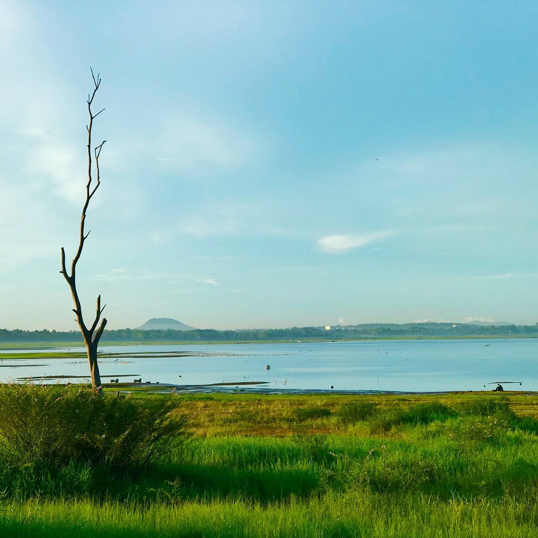 artory cafe & crafts, namon nomwan, open house cafe, red temp coffee, seafood club bangsean, จุดชมวิวเขาสามมุข, ซีฟู้ดคลับ บางแสน, ตลาดหนองมน, ถนนคนเดินบางแสน, ทะเลบางแสน, ที่เที่ยวบางแสน, ที่เที่ยวบางแสน 2023, ที่เที่ยวบางแสน 2024, ที่เที่ยวบางแสน 2566, บางแสน, บางแสน 2024, บางแสน 2567, สวนสัตว์เปิดเขาเขียว, หน้ามนหนมหวาน, หาดบางแสน, หาดวอนนภา, อ่างเก็บน้ำบางพระ, เขาสามมุข, เที่ยวบางแสน, เที่ยวบางแสน 2024, เที่ยวบางแสน 2567, top 21+ ที่เที่ยวบางแสน [กรกฎาคม 2024] ที่ต้องแวะเช็คอิน พักผ่อนสบาย ๆ ในช่วงวันหยุด