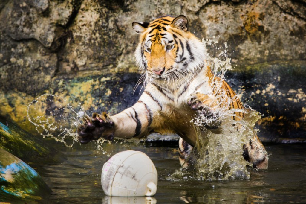 artory cafe & crafts, namon nomwan, open house cafe, red temp coffee, seafood club bangsean, จุดชมวิวเขาสามมุข, ซีฟู้ดคลับ บางแสน, ตลาดหนองมน, ถนนคนเดินบางแสน, ทะเลบางแสน, ที่เที่ยวบางแสน, ที่เที่ยวบางแสน 2023, ที่เที่ยวบางแสน 2024, ที่เที่ยวบางแสน 2566, บางแสน, บางแสน 2024, บางแสน 2567, สวนสัตว์เปิดเขาเขียว, หน้ามนหนมหวาน, หาดบางแสน, หาดวอนนภา, อ่างเก็บน้ำบางพระ, เขาสามมุข, เที่ยวบางแสน, เที่ยวบางแสน 2024, เที่ยวบางแสน 2567, top 21+ ที่เที่ยวบางแสน [กรกฎาคม 2024] ที่ต้องแวะเช็คอิน พักผ่อนสบาย ๆ ในช่วงวันหยุด