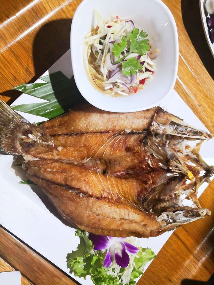 ร้านอาหารราชพฤกษ์ : 13 ร้านอร่อยราชพฤกษ์ นนทบุรี บรรยากาศดี เหมาะสำหรับครอบครัว ผ่านไปกี่ครั้งเป็นต้องแวะ