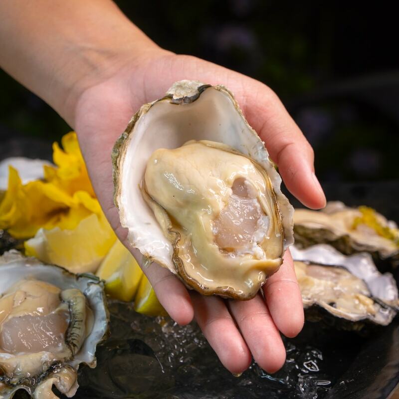 ร้านอาหารราชพฤกษ์ : 13 ร้านอร่อยราชพฤกษ์ นนทบุรี บรรยากาศดี เหมาะสำหรับครอบครัว ผ่านไปกี่ครั้งเป็นต้องแวะ