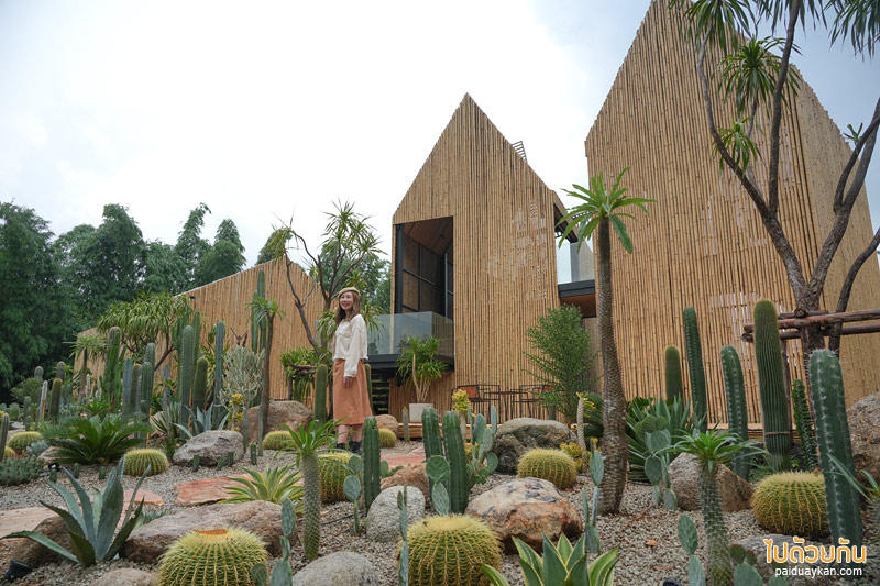 ร้านนั่งชิวกาญจนบุรี, คาเฟ่กาญจนบุรี, เที่ยวคาเฟ่กาญจนบุรี, ร้านกาแฟกาญจนบุรี, top 25+ คาเฟ่กาญจนบุรี บรรยากาศดี ถ่ายรูปสวย