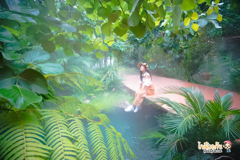 ร้านนั่งชิวกาญจนบุรี, คาเฟ่กาญจนบุรี, เที่ยวคาเฟ่กาญจนบุรี, ร้านกาแฟกาญจนบุรี, top 25+ คาเฟ่กาญจนบุรี บรรยากาศดี ถ่ายรูปสวย