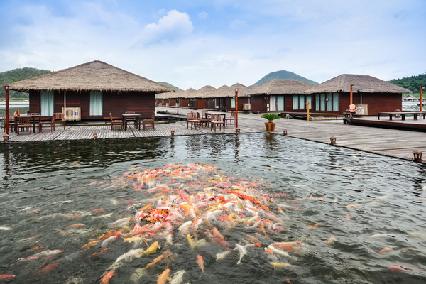 รักษ์น้ำรีสอร์ต ที่พักมัลดีฟเมืองไทย นอนบนแพหรู