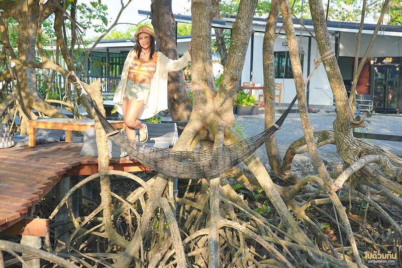 เที่ยวจันทบุรี, ที่พักจันทบุรี, เสม็ดงาม โฮมสเตย์ ที่พักมินินอล วิวป่าโกงกาง จัดเต็มอาหารทะเล