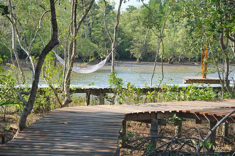 เที่ยวจันทบุรี, ที่พักจันทบุรี, เสม็ดงาม โฮมสเตย์ ที่พักมินินอล วิวป่าโกงกาง จัดเต็มอาหารทะเล