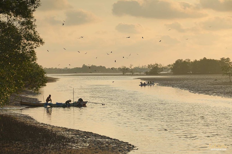 เที่ยวจันทบุรี, ที่พักจันทบุรี, เสม็ดงาม โฮมสเตย์ ที่พักมินินอล วิวป่าโกงกาง จัดเต็มอาหารทะเล