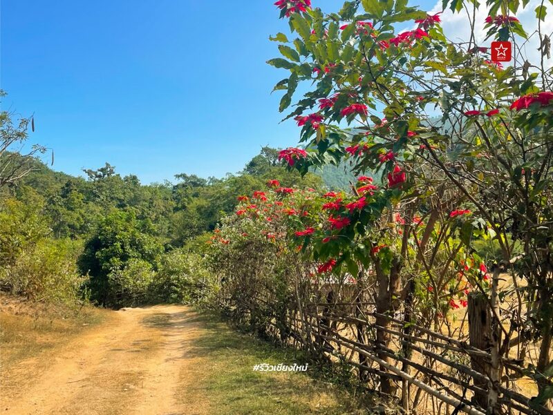 ที่เที่ยวเชียงใหม่, น้ำตกเชียงใหม่, น้ำตกแม่เตี๊ยะ, อุทยานแห่งชาติออบหลวง, เดินป่า, เดินเทรล, เที่ยวป่าเชียงใหม่, น้ำตกแม่เตี๊ยะ อุทยานแห่งชาติออบหลวง