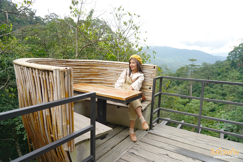 คาเฟ่ปางไฮ, คาเฟ่ดอยสะเก็ด, sky hawk café คาเฟ่ลับกลางป่าใหญ่ กับมุมที่นั่งลอยฟ้าสุดเก๋
