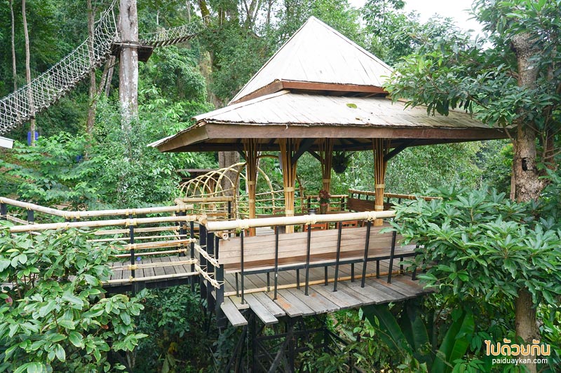 คาเฟ่ปางไฮ, คาเฟ่ดอยสะเก็ด, sky hawk café คาเฟ่ลับกลางป่าใหญ่ กับมุมที่นั่งลอยฟ้าสุดเก๋