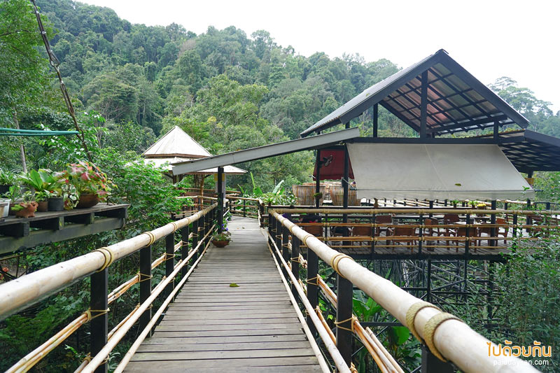 คาเฟ่ปางไฮ, คาเฟ่ดอยสะเก็ด, sky hawk café คาเฟ่ลับกลางป่าใหญ่ กับมุมที่นั่งลอยฟ้าสุดเก๋